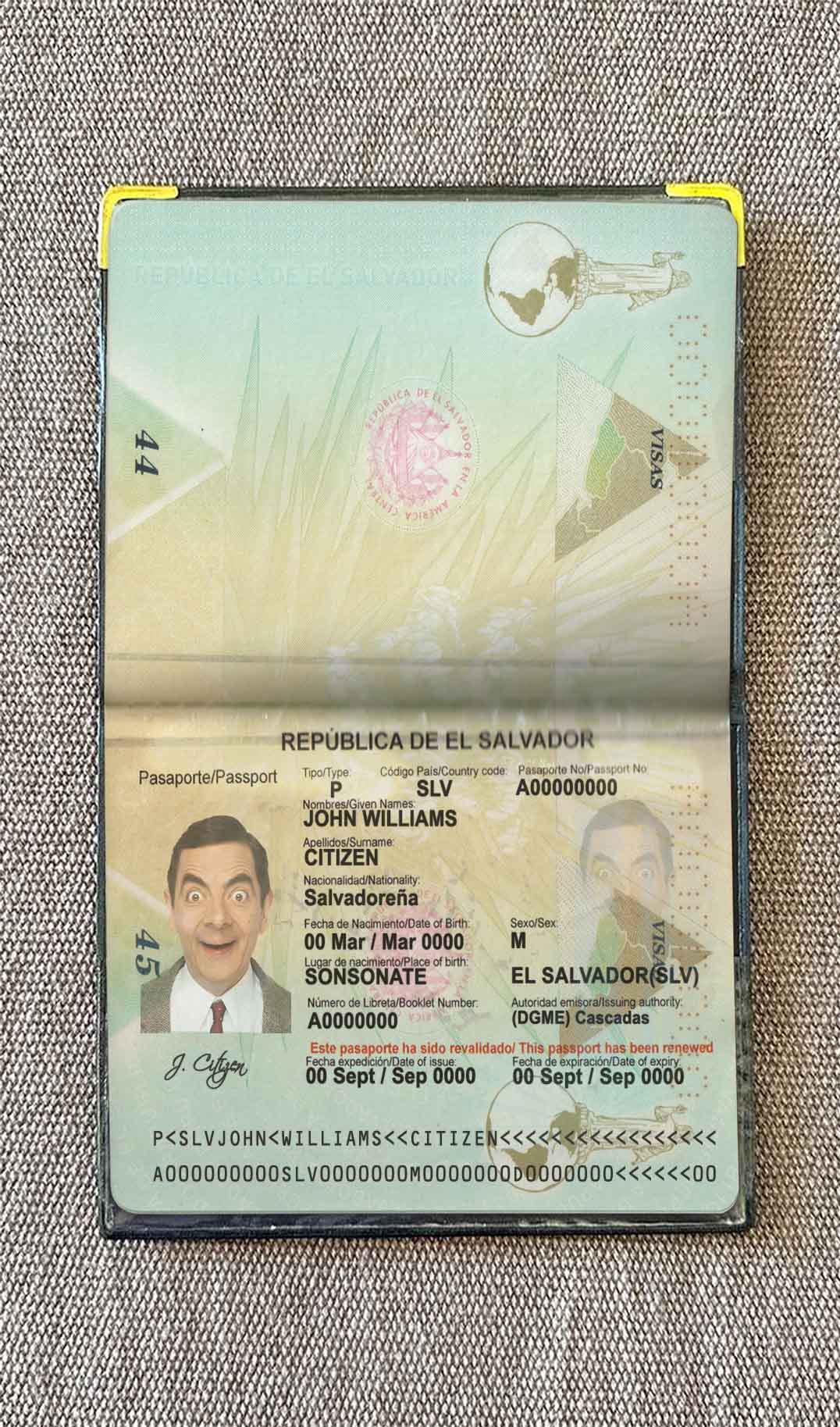 Salvador passport photo look PSD template